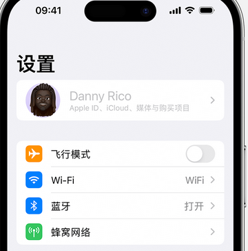 礼纪镇appleID维修服务iPhone设置中Apple ID显示为灰色无法使用 