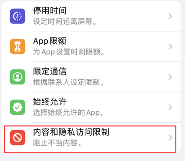 礼纪镇appleID维修服务iPhone设置中Apple ID显示为灰色无法使用