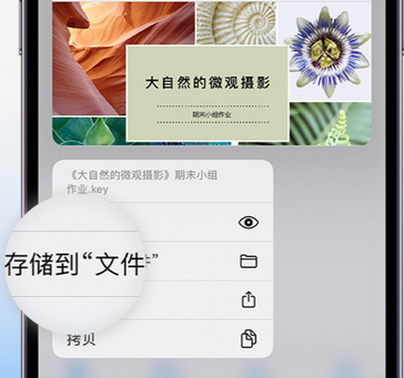 礼纪镇apple维修中心分享iPhone文件应用中存储和找到下载文件