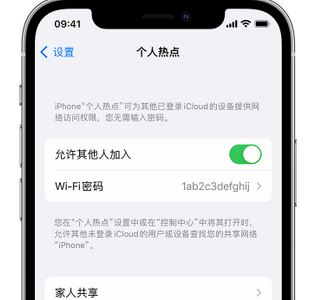 礼纪镇apple服务站点分享iPhone上个人热点丢失了怎么办