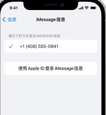 礼纪镇apple维修iPhone上无法正常发送iMessage信息 