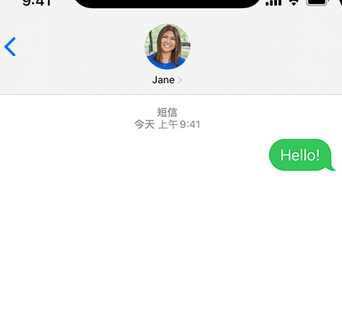 礼纪镇apple维修iPhone上无法正常发送iMessage信息