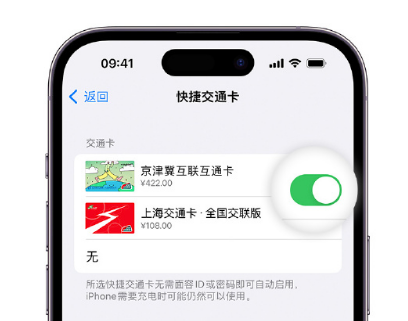 礼纪镇apple维修点分享iPhone上更换Apple Pay快捷交通卡手绘卡面 