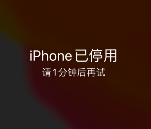 礼纪镇苹果手机维修分享:iPhone 显示“不可用”或“已停用”怎么办？还能保留数据吗？ 