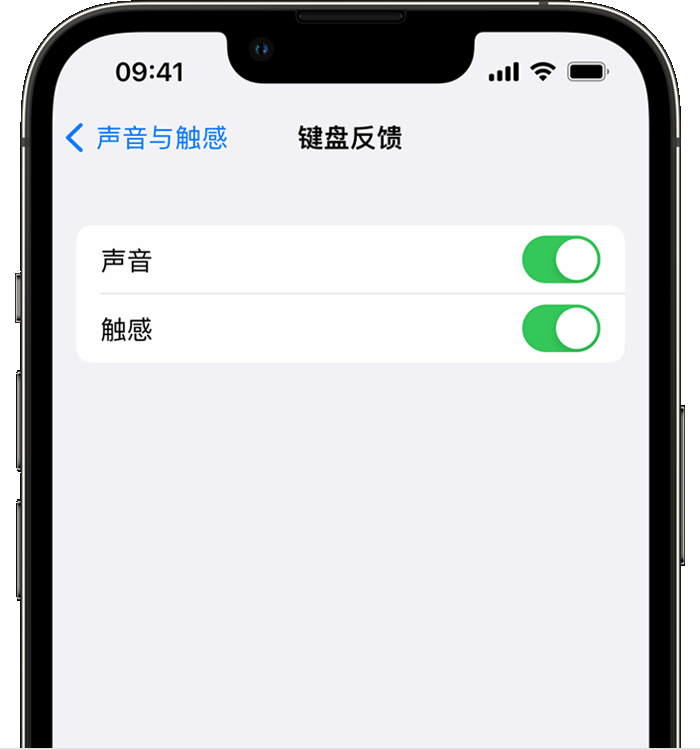 礼纪镇苹果14维修店分享如何在 iPhone 14 机型中使用触感键盘 