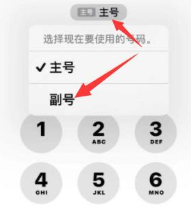 礼纪镇苹果14维修店分享iPhone 14 Pro Max使用副卡打电话的方法 