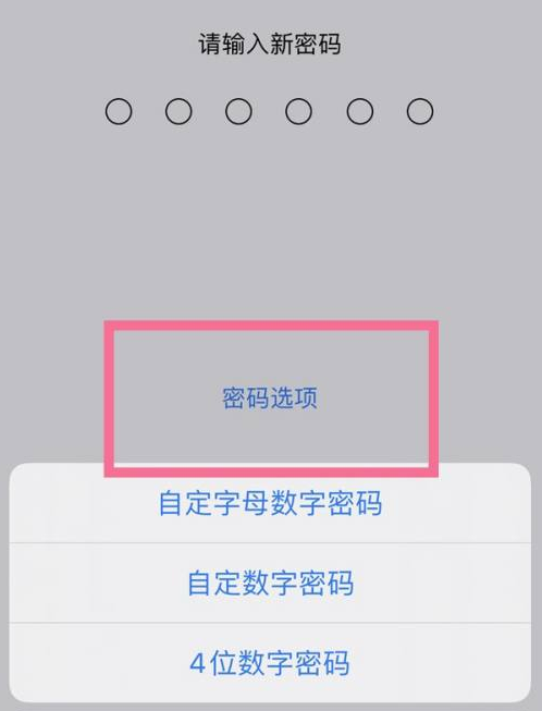 礼纪镇苹果14维修分享iPhone 14plus设置密码的方法 