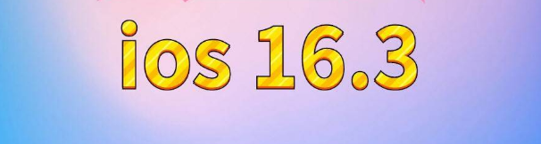 礼纪镇苹果服务网点分享苹果iOS16.3升级反馈汇总 