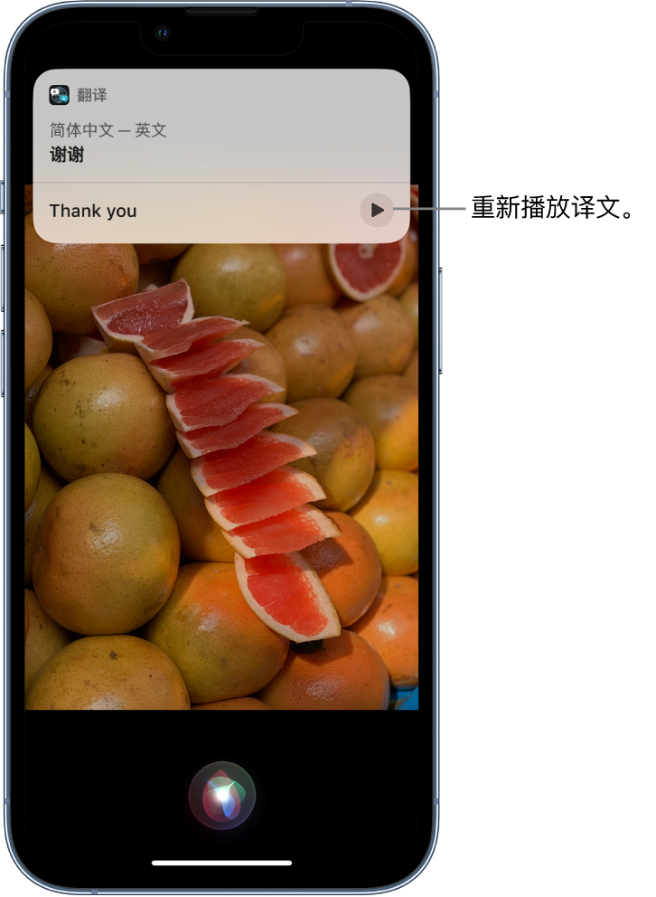 礼纪镇苹果14维修分享 iPhone 14 机型中使用 Siri：了解 Siri 能帮你做什么 