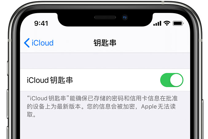 礼纪镇苹果手机维修分享在 iPhone 上开启 iCloud 钥匙串之后会储存哪些信息 