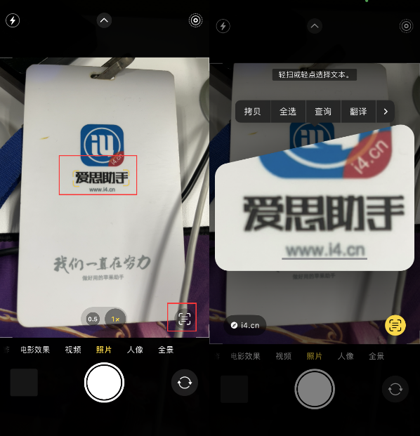 礼纪镇苹果手机维修分享升级iOS 16后如何通过相机翻译文本 