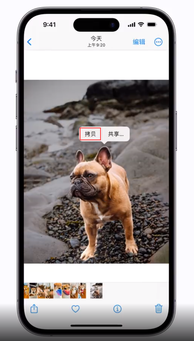 礼纪镇苹果手机维修分享 iOS 16 自带一键抠图功能 