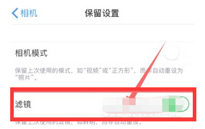 礼纪镇苹果13维修分享iPhone13拍照有绿点是怎么回事 