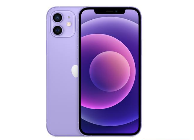 礼纪镇苹果手机维修分享现阶段要不要入手紫色版iPhone12 