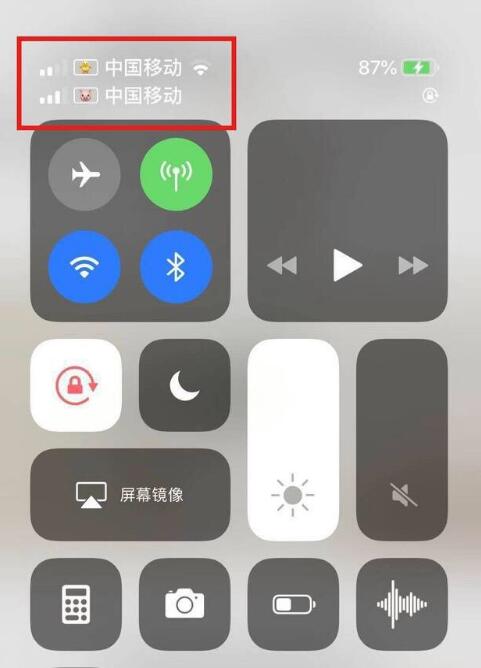 礼纪镇苹果手机维修分享为 iPhone 12 双卡设置标签 