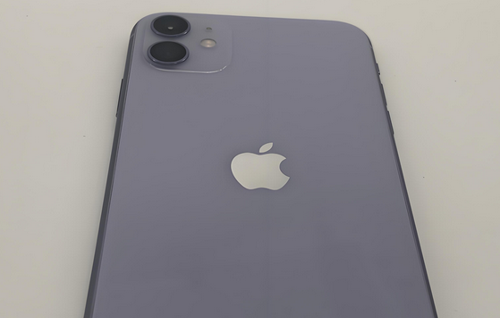 礼纪镇苹果11系统维修分享iPhone11手机系统崩溃无法开机如何解决 